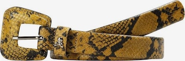Scalpers Vyö 'Snake' värissä keltainen: etupuoli