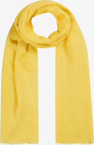 CODELLO Scarf in Yellow: front