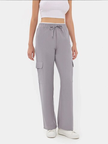 regular Pantaloni cargo di Hiccup in grigio: frontale