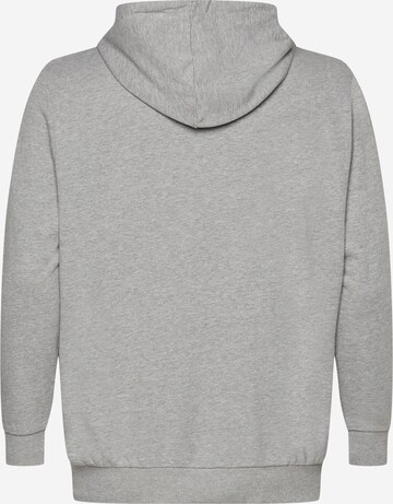 Jack & Jones Plus Sweatshirt 'Shark' in Grau