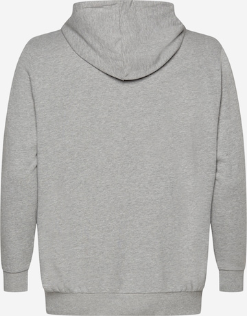 Jack & Jones Plus Sweatshirt 'Shark' in Grey