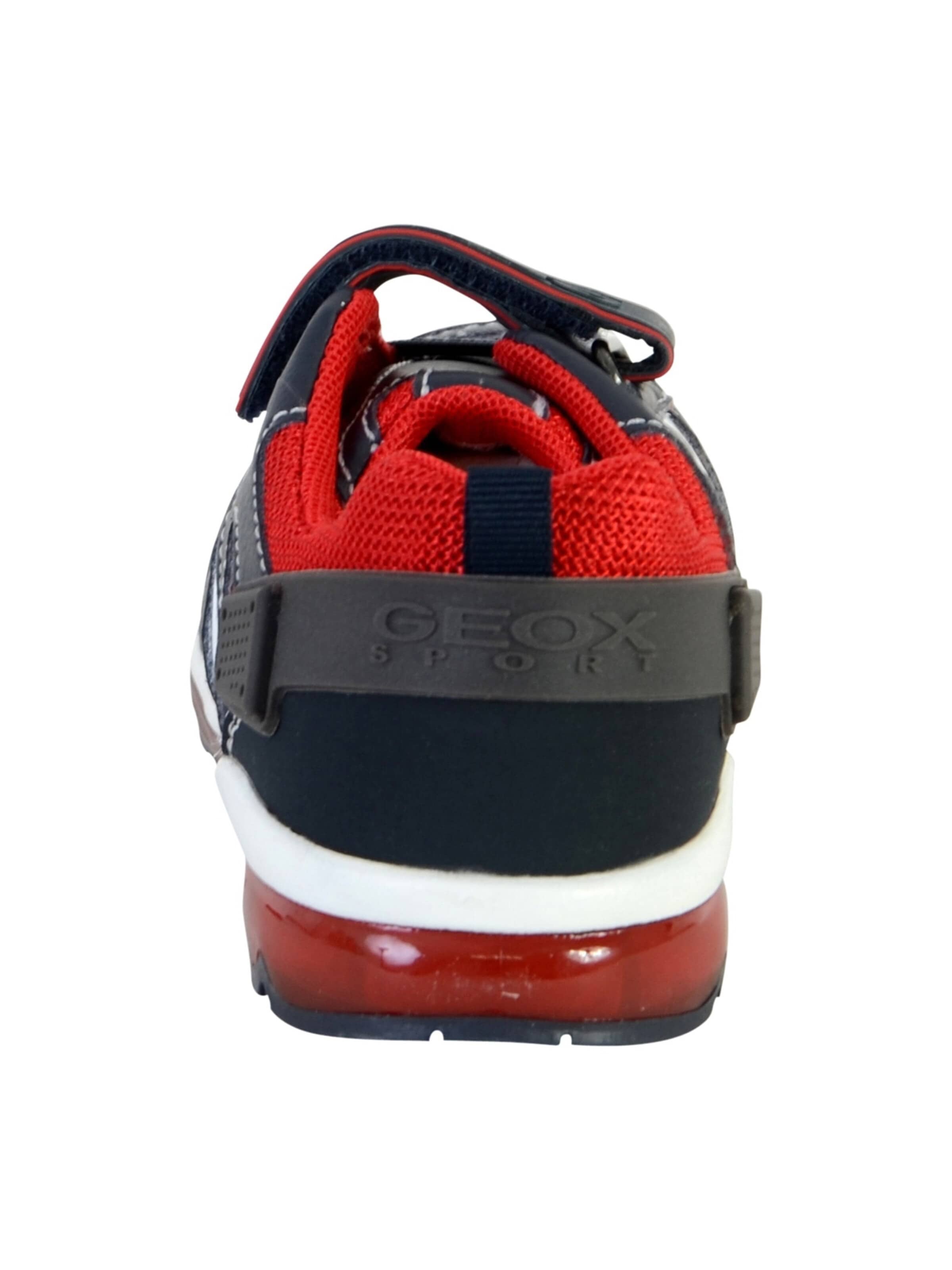 GEOX Sneakers in Blue
