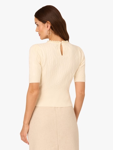 Adrianna Papell Pullover in Beige