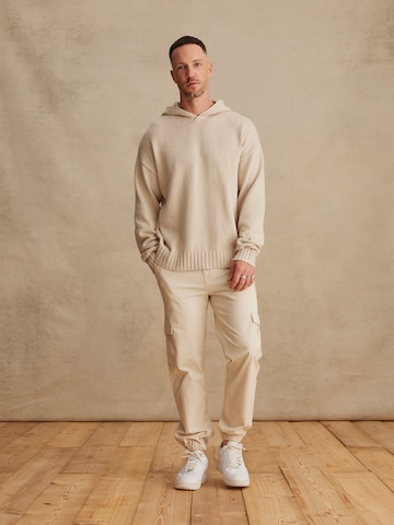 DAN FOX APPAREL Pullover 'Erwin' i beige