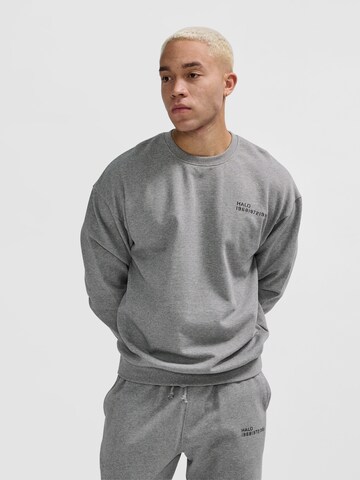 HALO Sweatshirt in Grijs