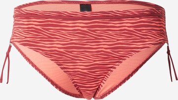 LingaDore Bikinihose in Orange: predná strana