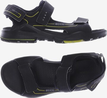 ECCO Sandalen 38 in Schwarz: predná strana