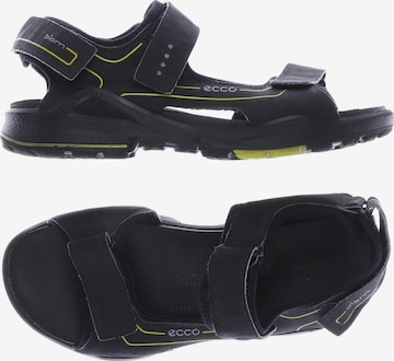 ECCO Sandals & Slippers in 38 in Black: front