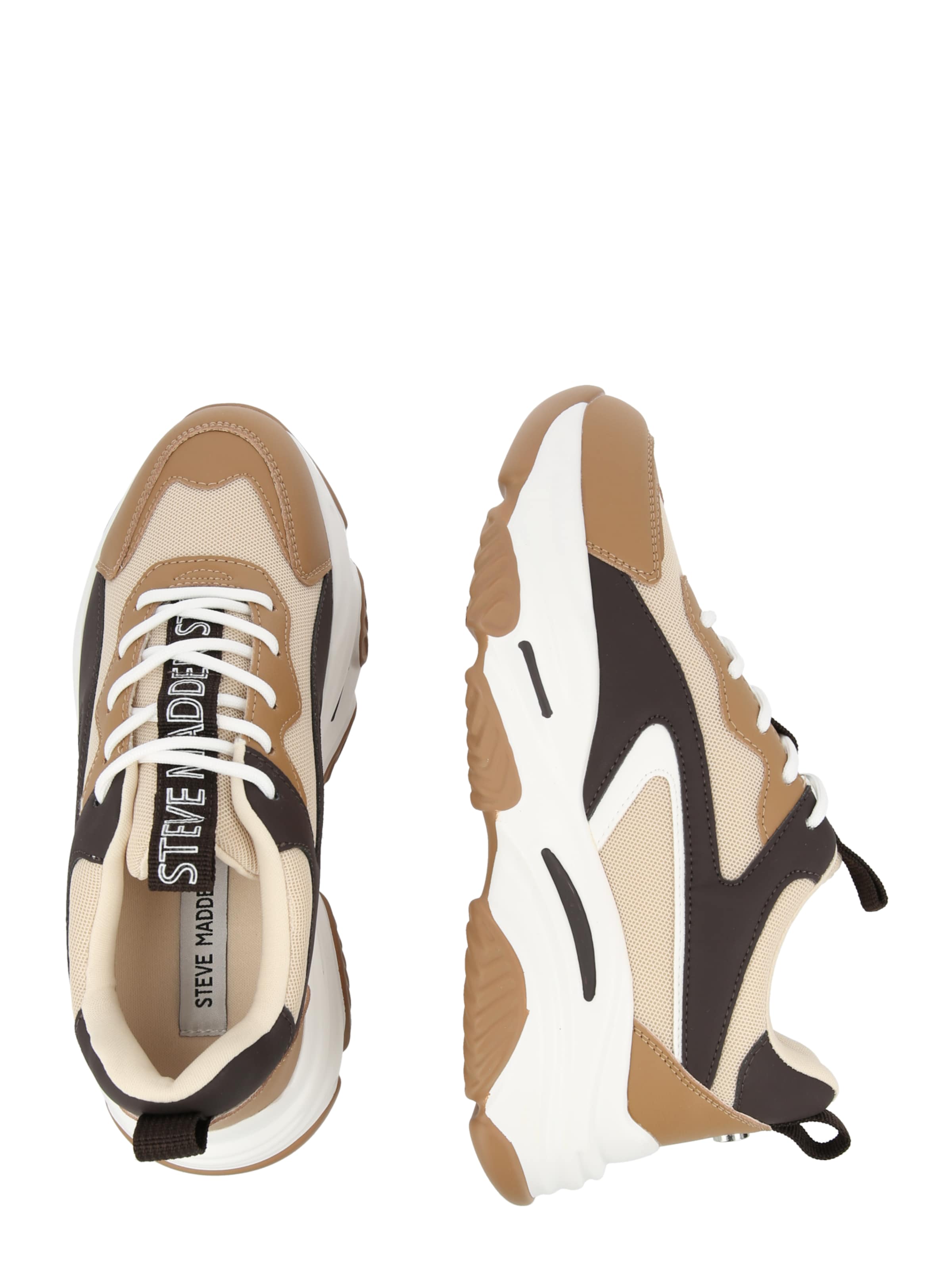 STEVE MADDEN Низкие кроссовки 'Acers' в Коричневый: сбоку