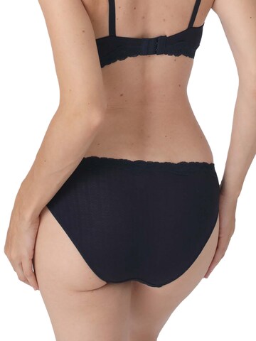 sassa Panty in Blue