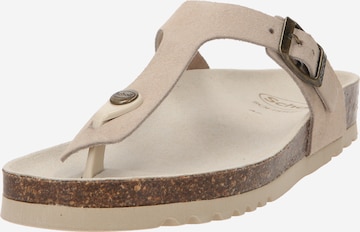 SCHOLL T-Bar Sandals 'NICOLE' in Beige: front