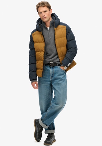 Superdry Winterjas in Bruin