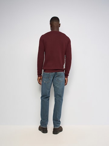 Salsa Jeans Trui in Rood