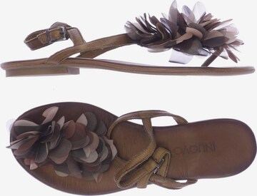INUOVO Sandals & High-Heeled Sandals in 38 in Brown: front
