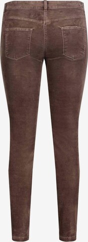 MAC Regular Chino Pants in Brown