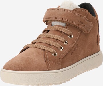 GEOX Sneakers 'THELEVEN' i brun: forside