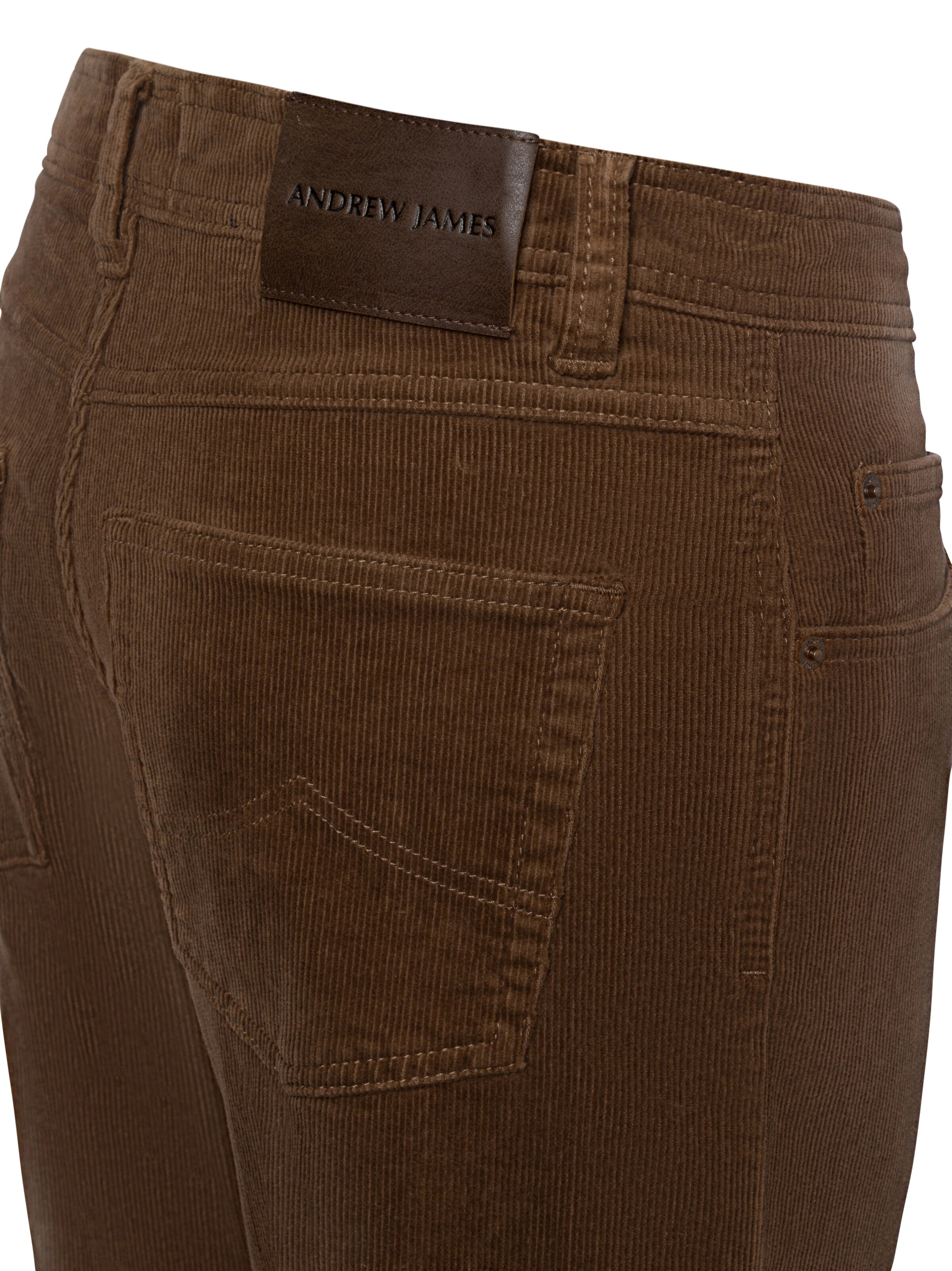 Nils Sundström Regular Pants 'Aiden' in Brown