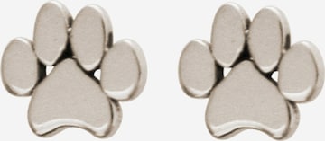 Boucles d'oreilles Gemshine en argent : devant