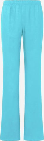 Peter Hahn Regular Pants in Blue: front