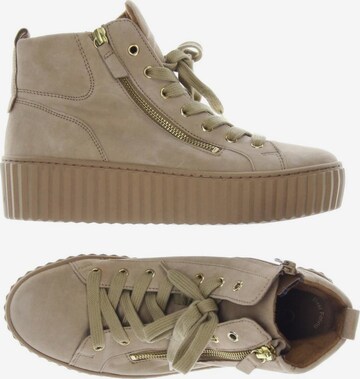 GABOR Sneaker 39 in Beige: predná strana