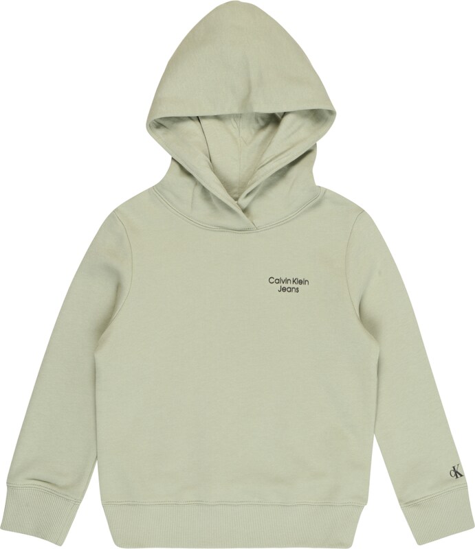 Calvin Klein Sweatshirt in Hellgrün Calvin Klein Sweatshirt in Hellgrün