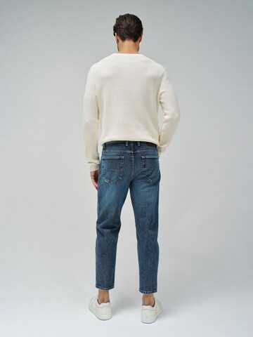 Salsa Jeans Tapered Jeans in Blau