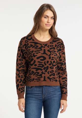 Usha Sweater in Brown: front