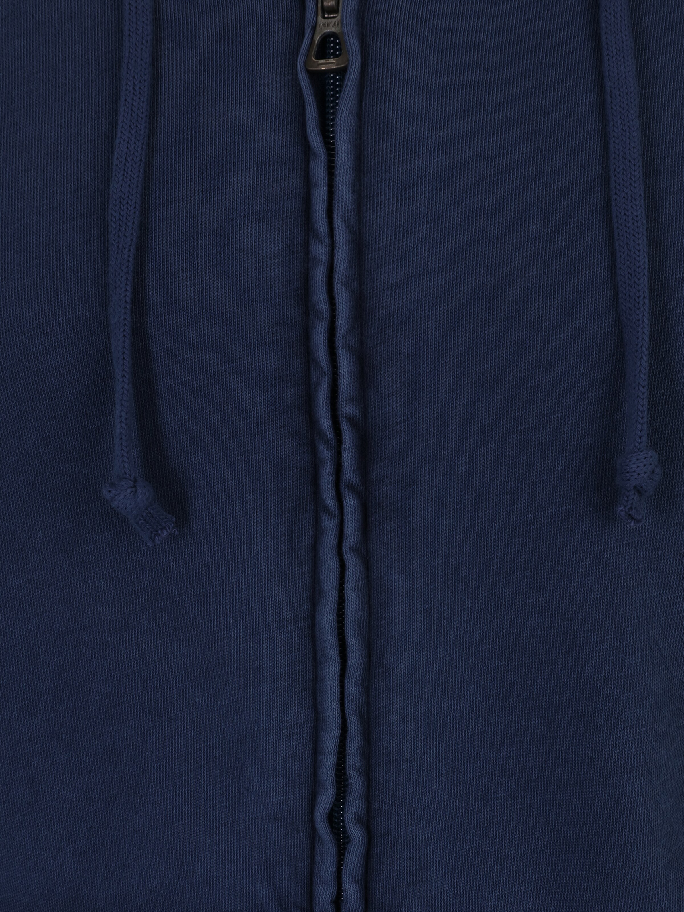 Polo Ralph Lauren Regular fit Sweat jacket in Blue