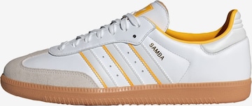 Baskets basses 'Samba' ADIDAS ORIGINALS en blanc : devant