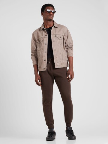 HOLLISTER Tapered Trousers in Brown
