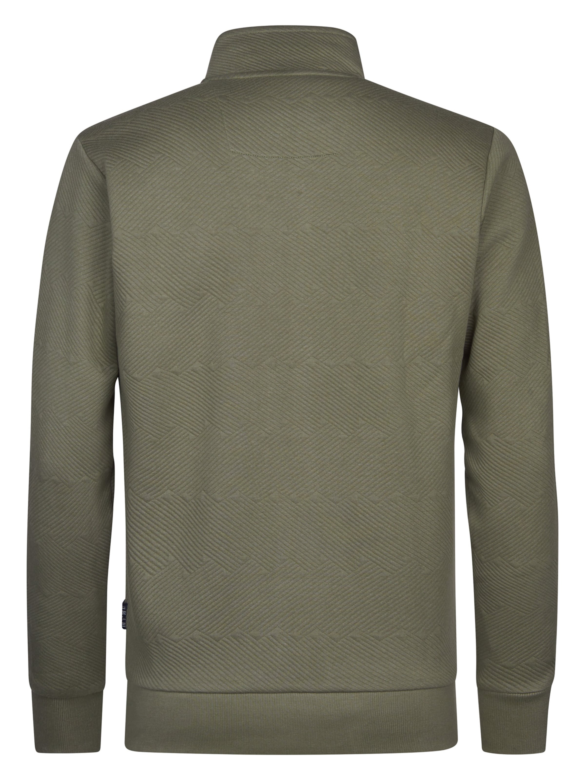 Petrol Industries Sweatvest 'Destino' in Groen