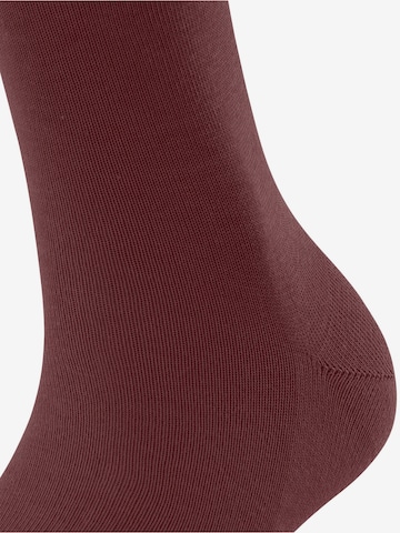 FALKE Socks 'Family' in Red: front