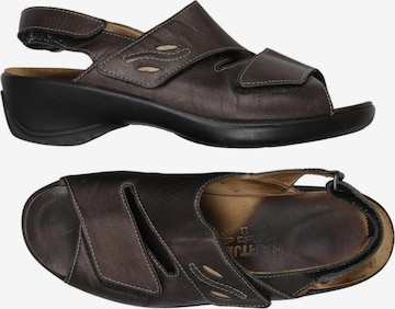 Hartjes Sandalen 38 in Braun: Vorderseite
