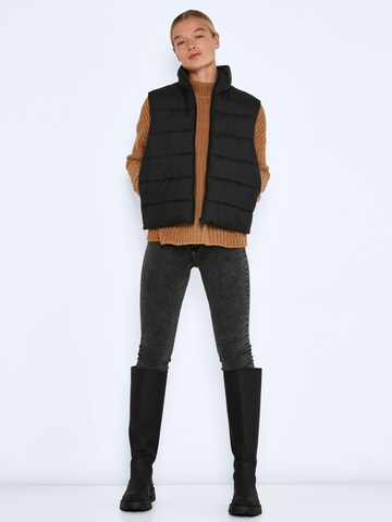 Noisy may Vest 'Marcus' in Black