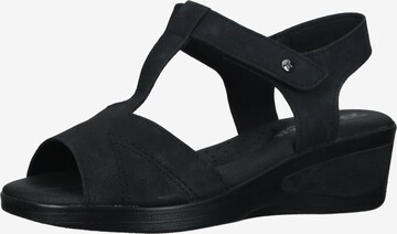 Arcopedico Sandals in Black: front