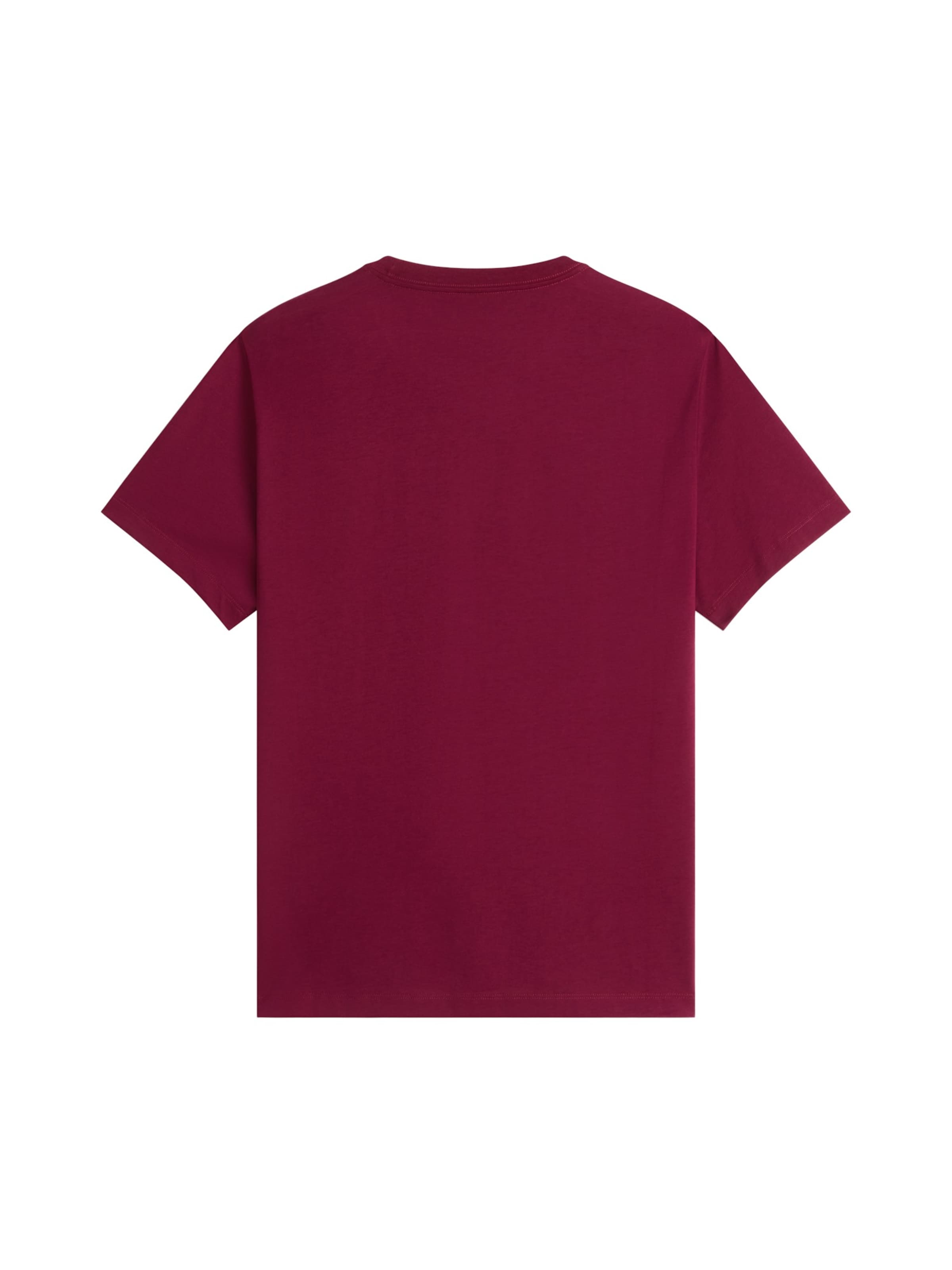 THE NORTH FACE Shirt 'Evolution Simple Dome' in Lila