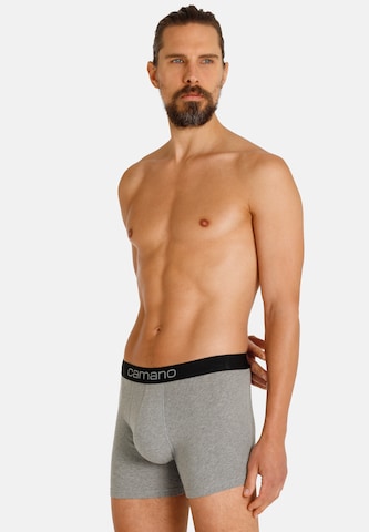 Boxers camano en gris