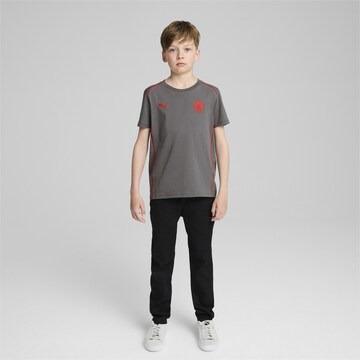 PUMA Funktionsshirt 'FC St. Pauli' in Grau