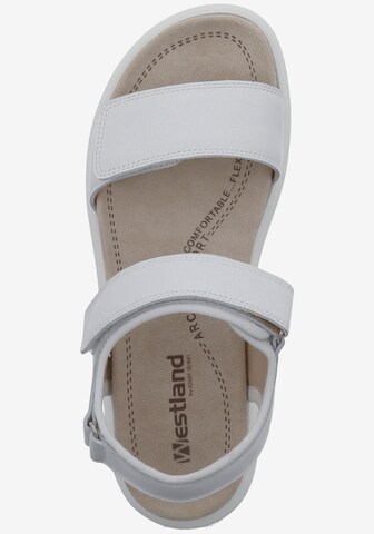 Westland Sandals 'Albi 01' in White