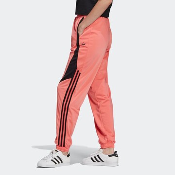 ADIDAS ORIGINALS Tapered Hose in Pink