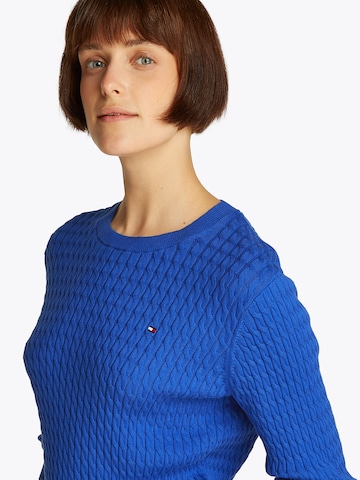 TOMMY HILFIGER Trui in Blauw
