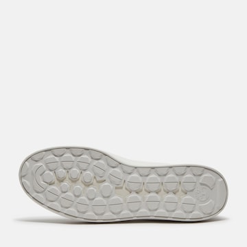 TIMBERLAND Sneakers in White