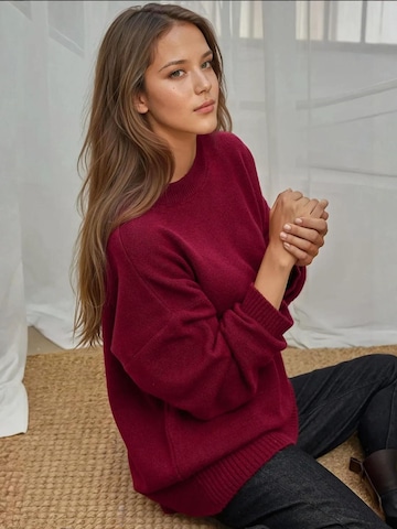 Hiccup Pullover in Rot