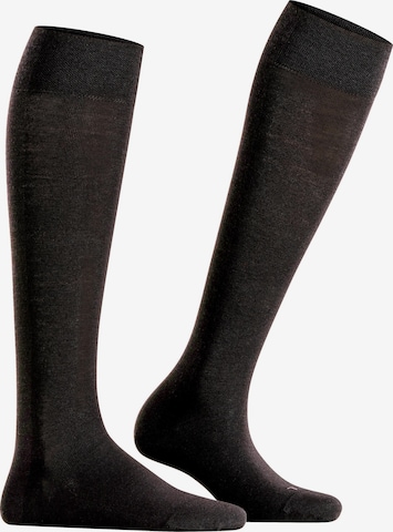 FALKE Over the Knee Socks 'Sensitive Berlin' in Black: front