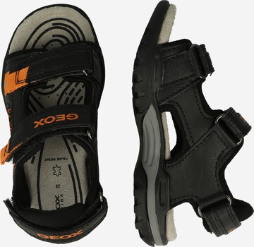 GEOX Sandals & Slippers 'BOREALIS' in Black