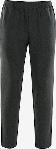 HAJO Pants in Grey: front