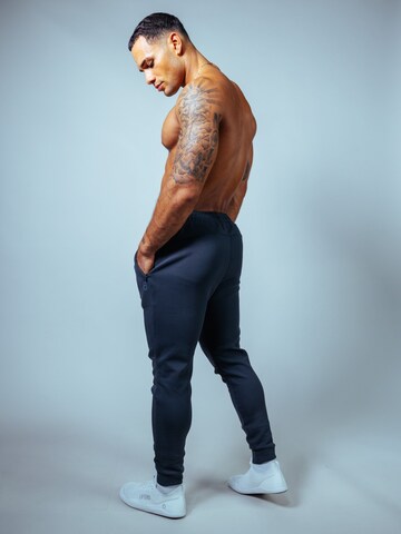 Lifters Slim fit Workout Pants 'Performance Gym Jogger' in Grey
