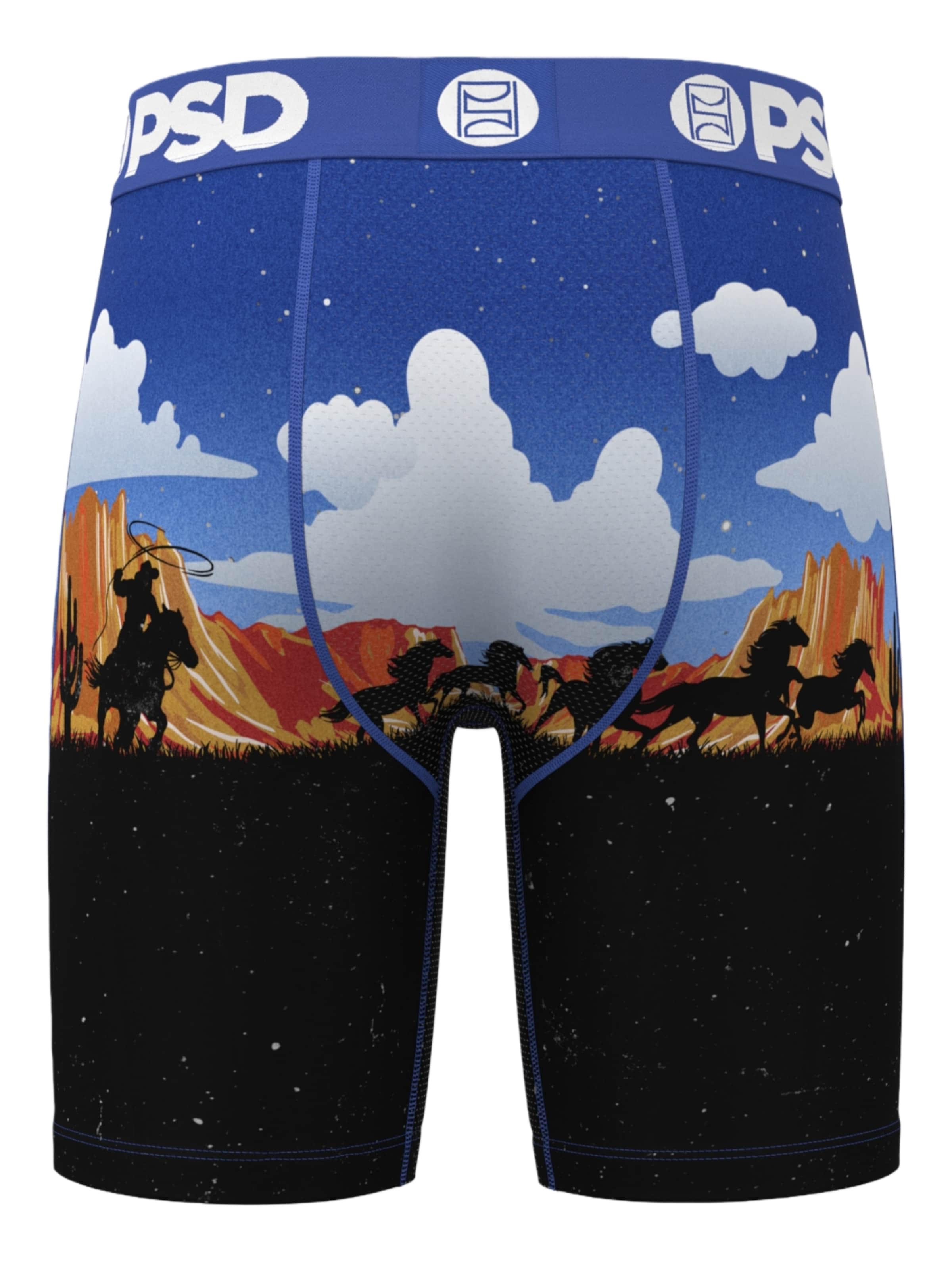 Boxers 'ACE HIGH' PSD en mélange de couleurs