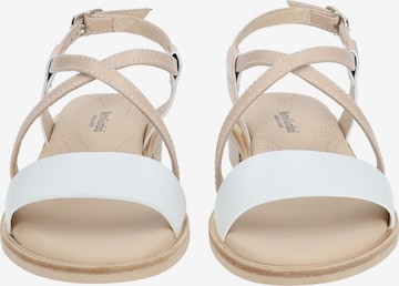 Nero Giardini Sandalen met riem in Beige