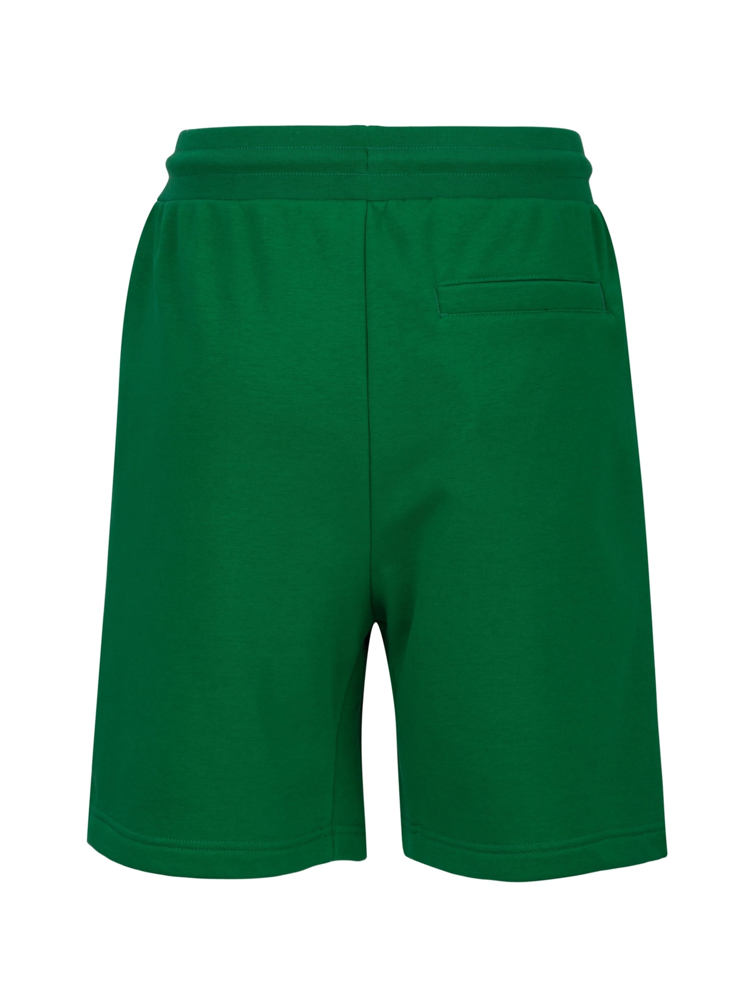 19V69 ITALIA Regular Trousers 'Sergio' in Green